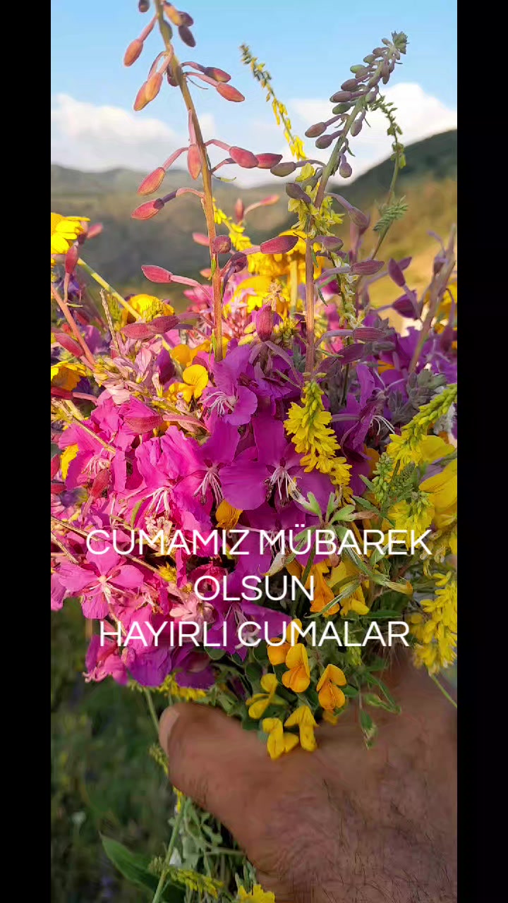 @Hasan Yılmaz