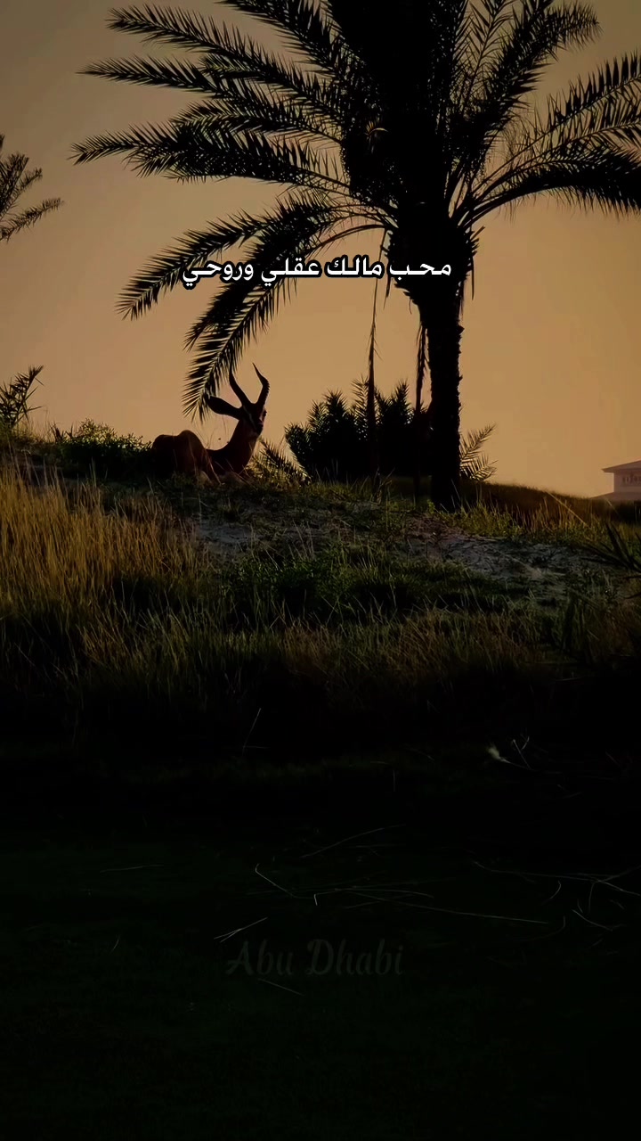 @﮼غزال🦌