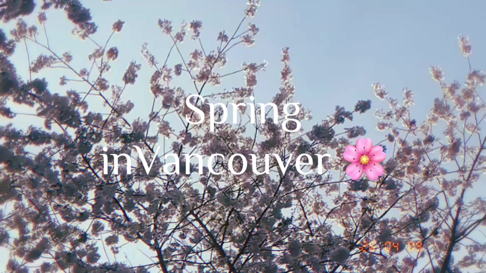 @Sarah B | UGC 🇨🇦