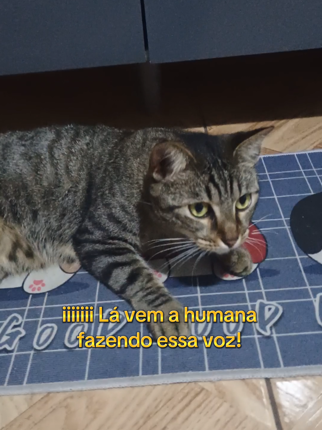 @Amordequatropatas