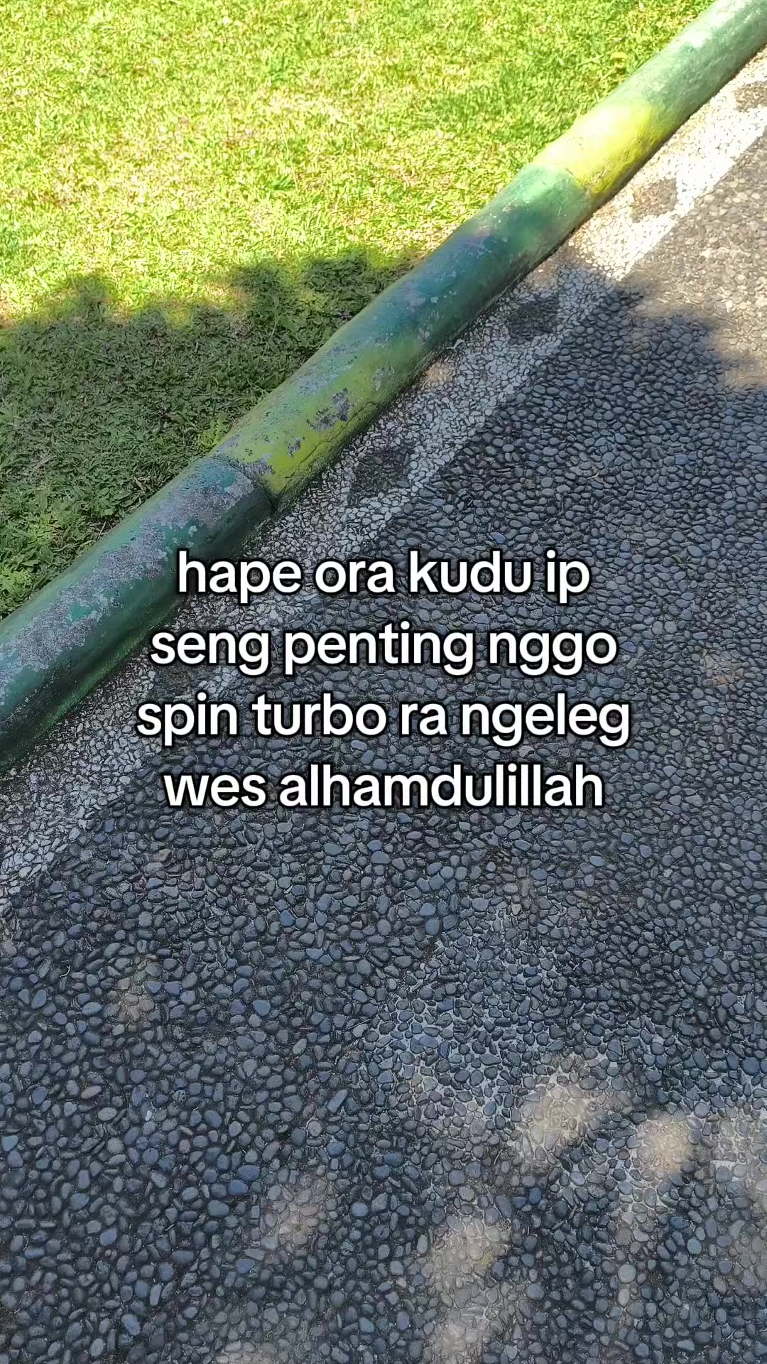 @aliell