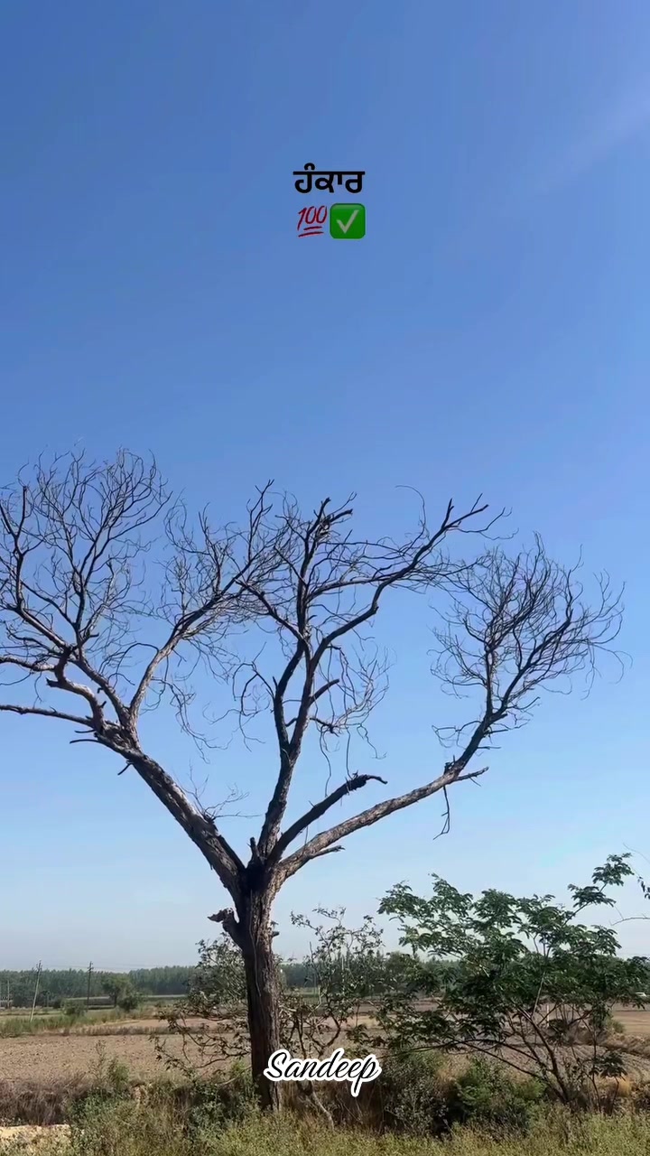 @Sdeep_2022