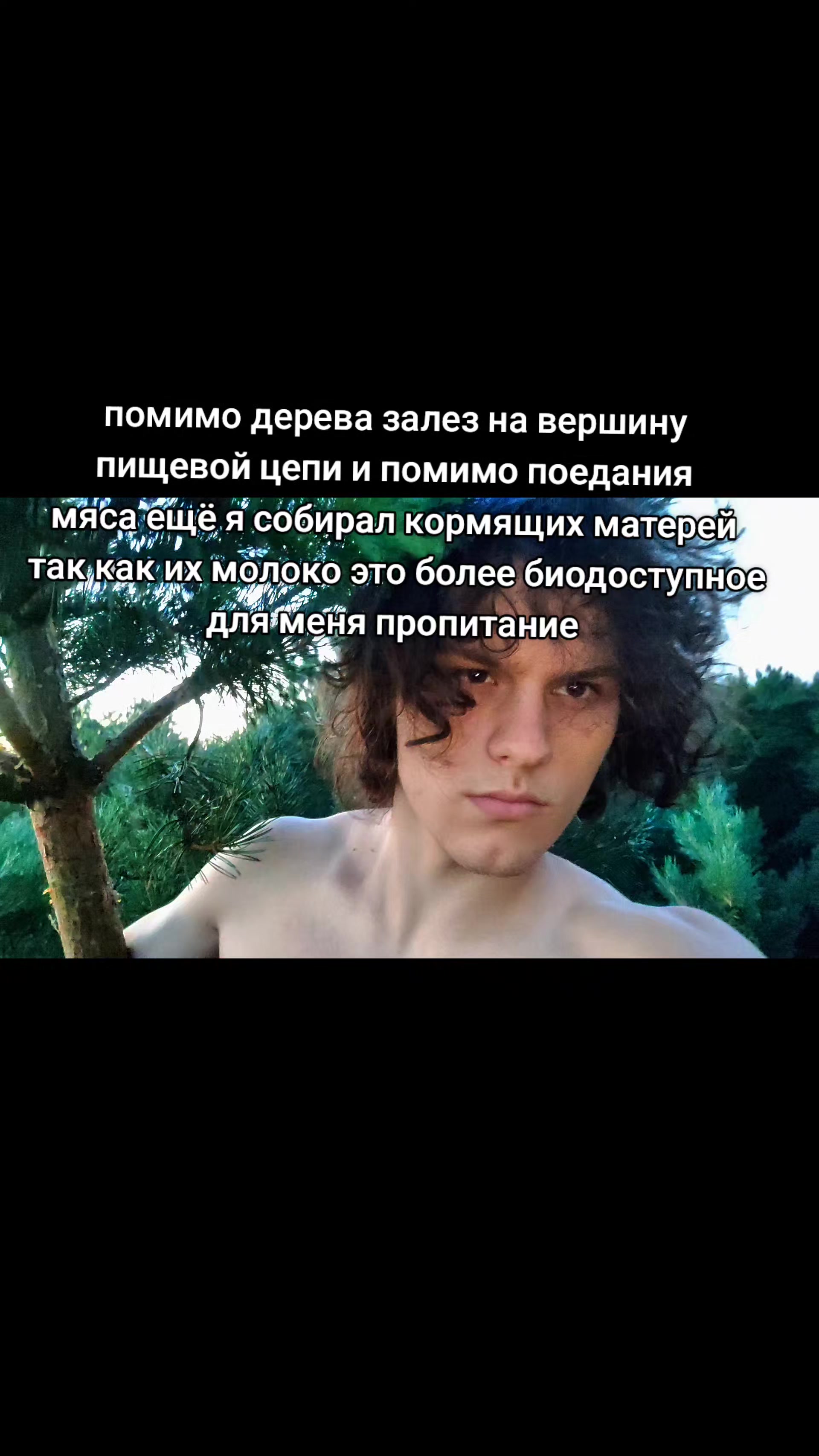 @я тупа свег щя