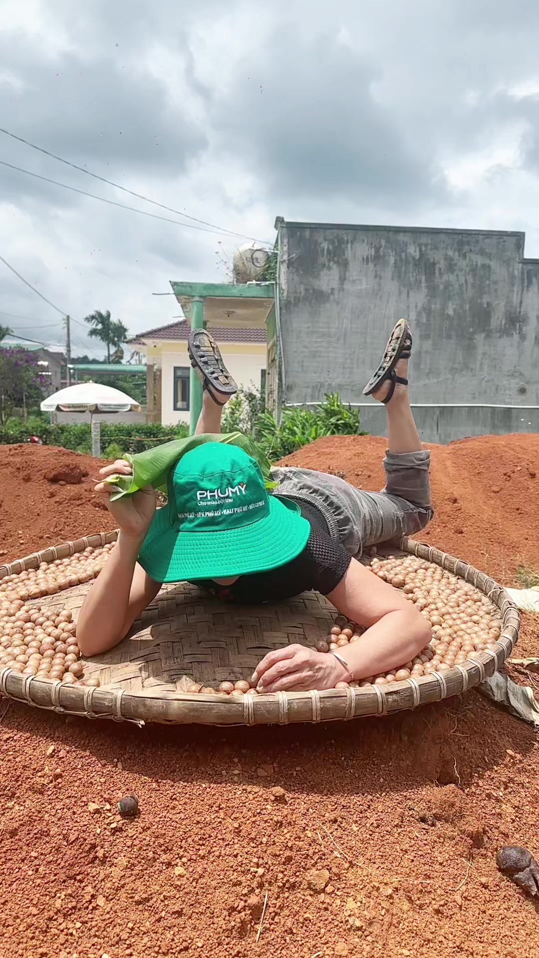 @💗 Hương Chí Phèo 💗