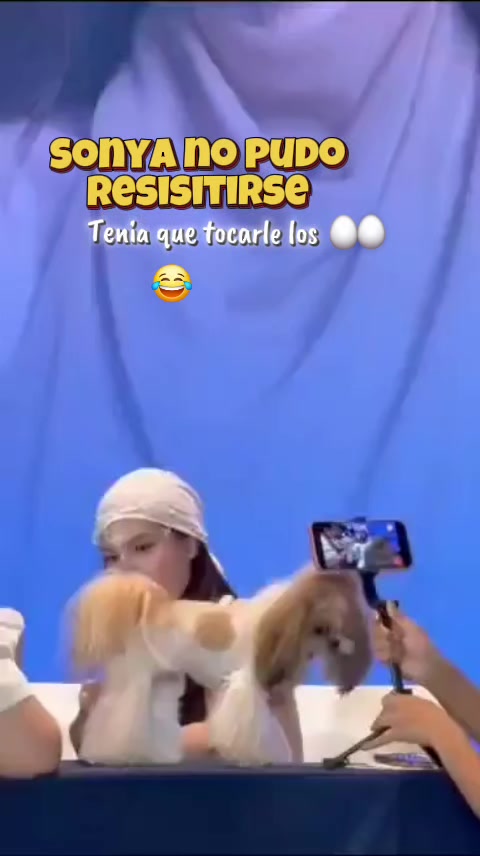 @Carli_ZDP🇵🇪