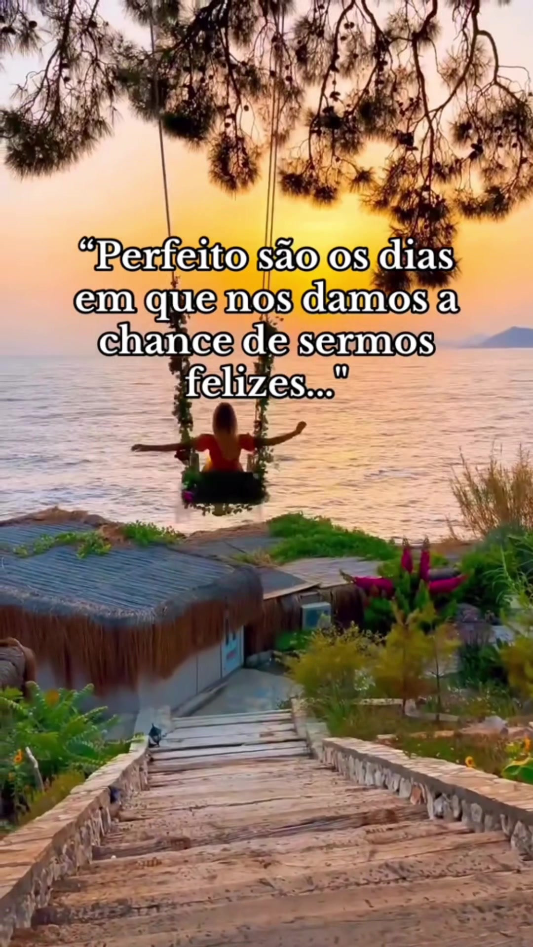 @Rosa Maria Pires