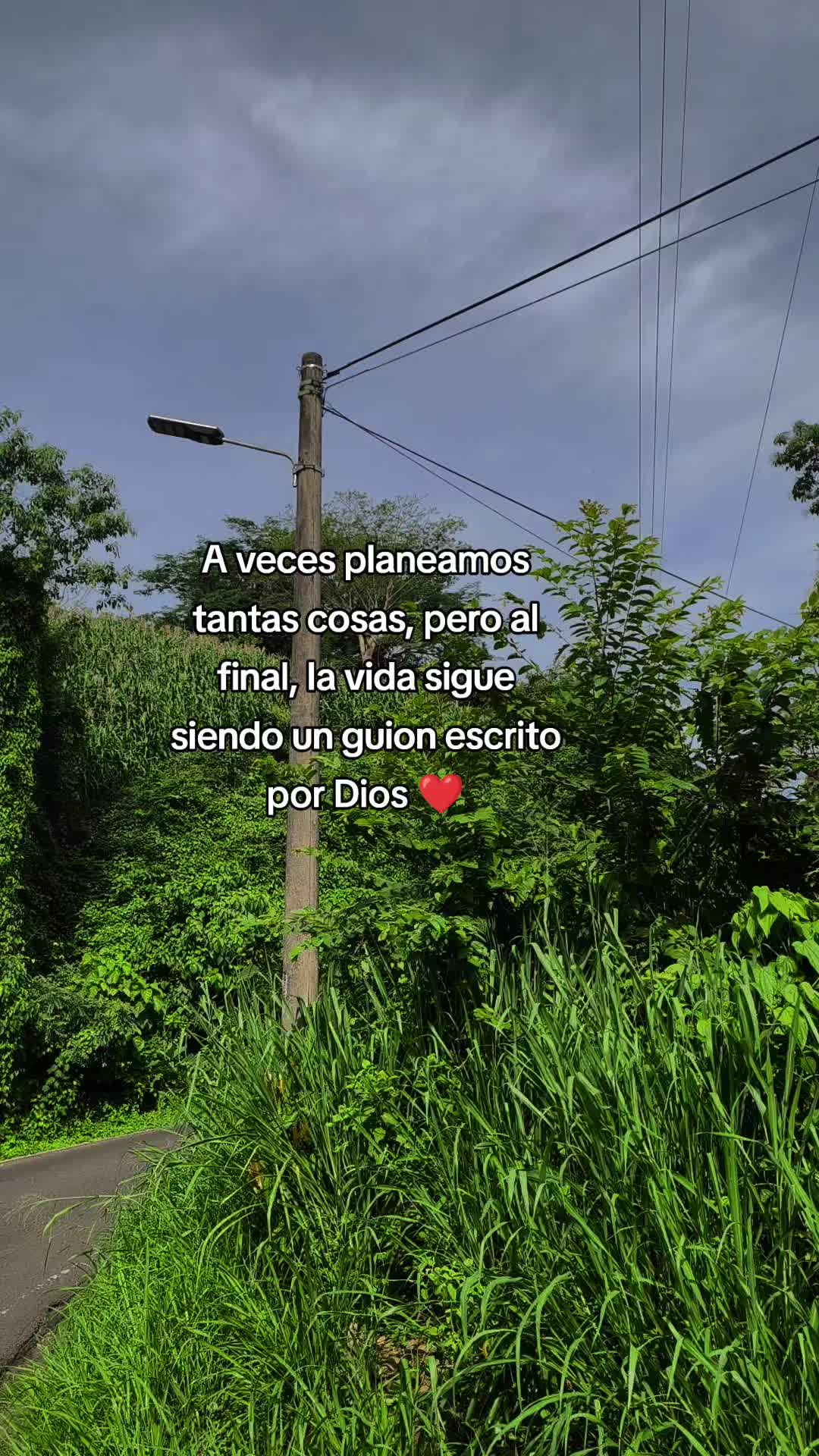 @Any✨️