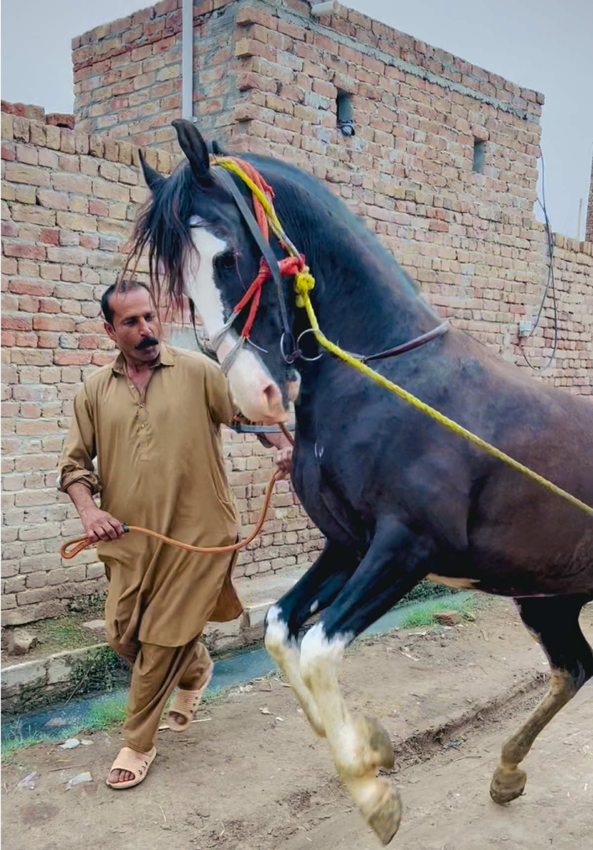@makhdoomawaisshahoffcial