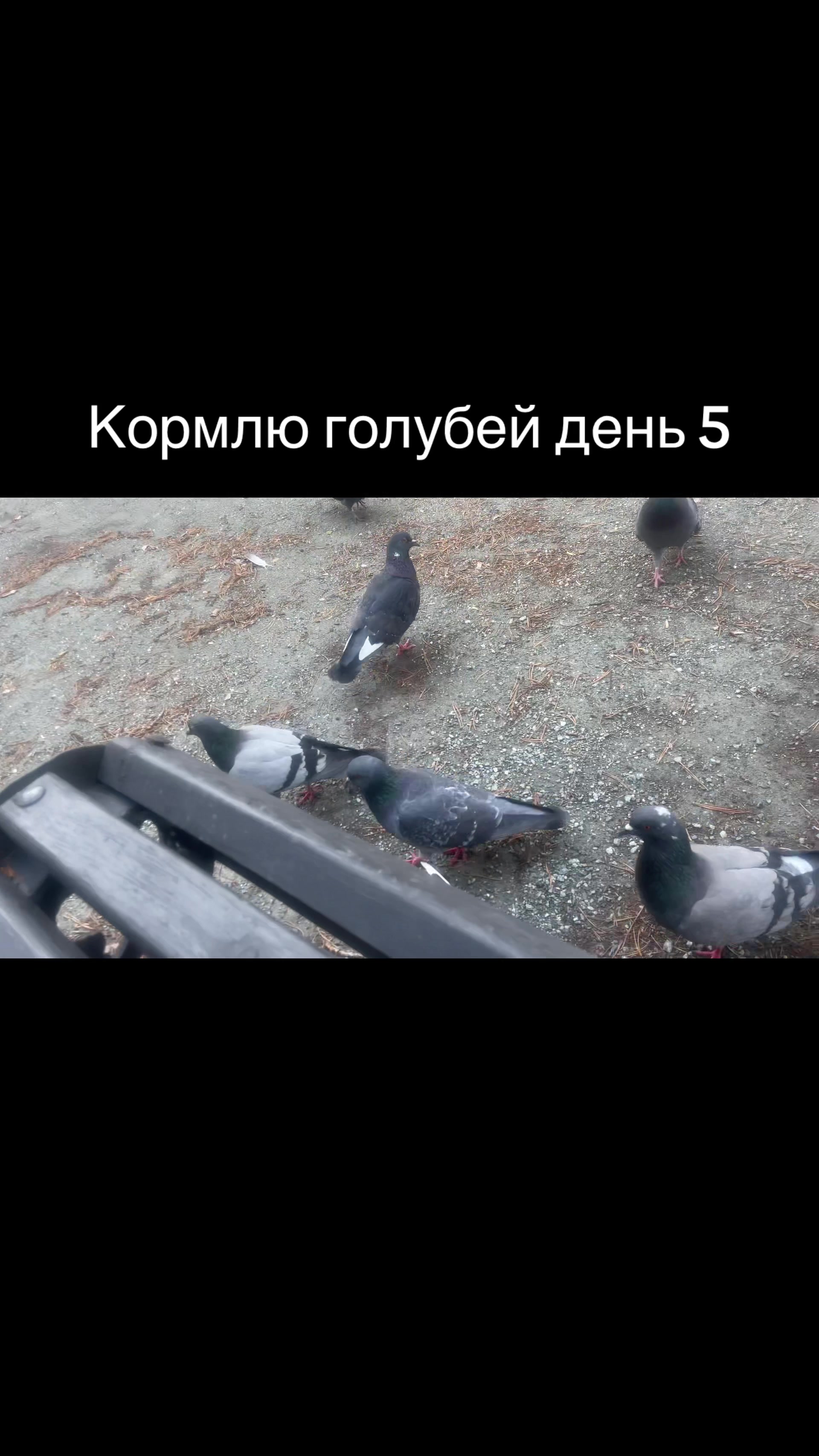 @Севун