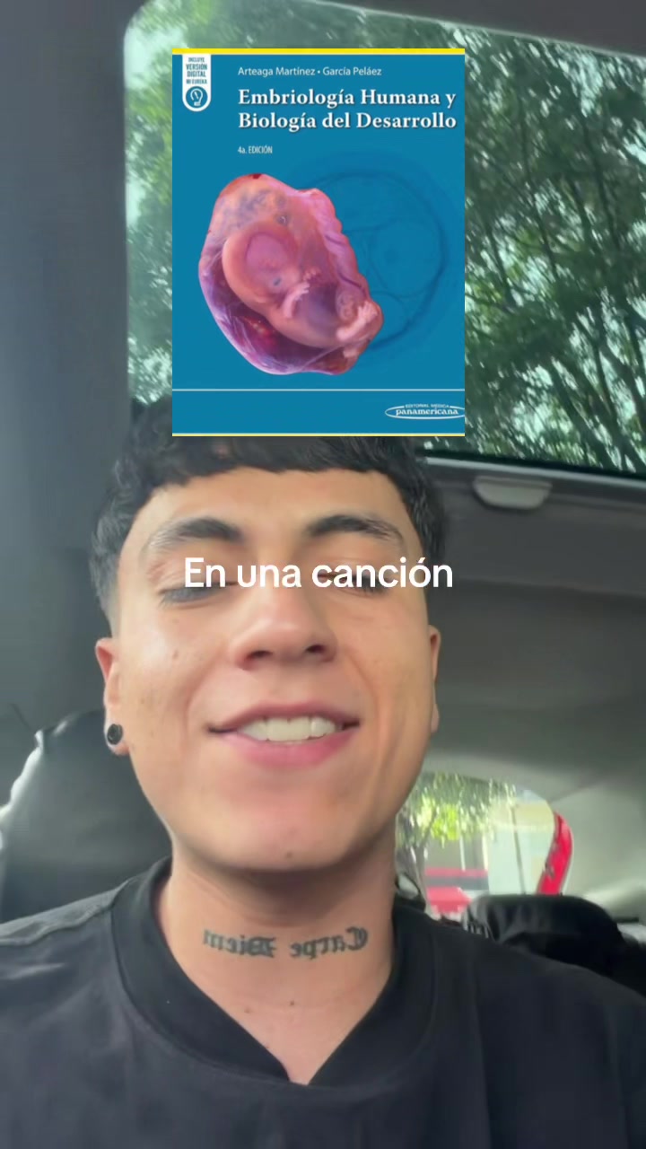 @ENDOBOY