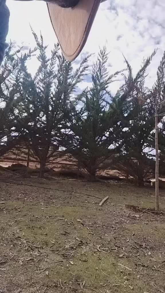 @colorado 2762