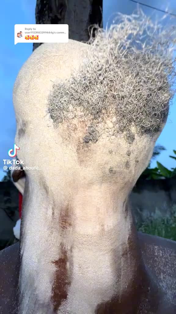 @yhawsurvivor