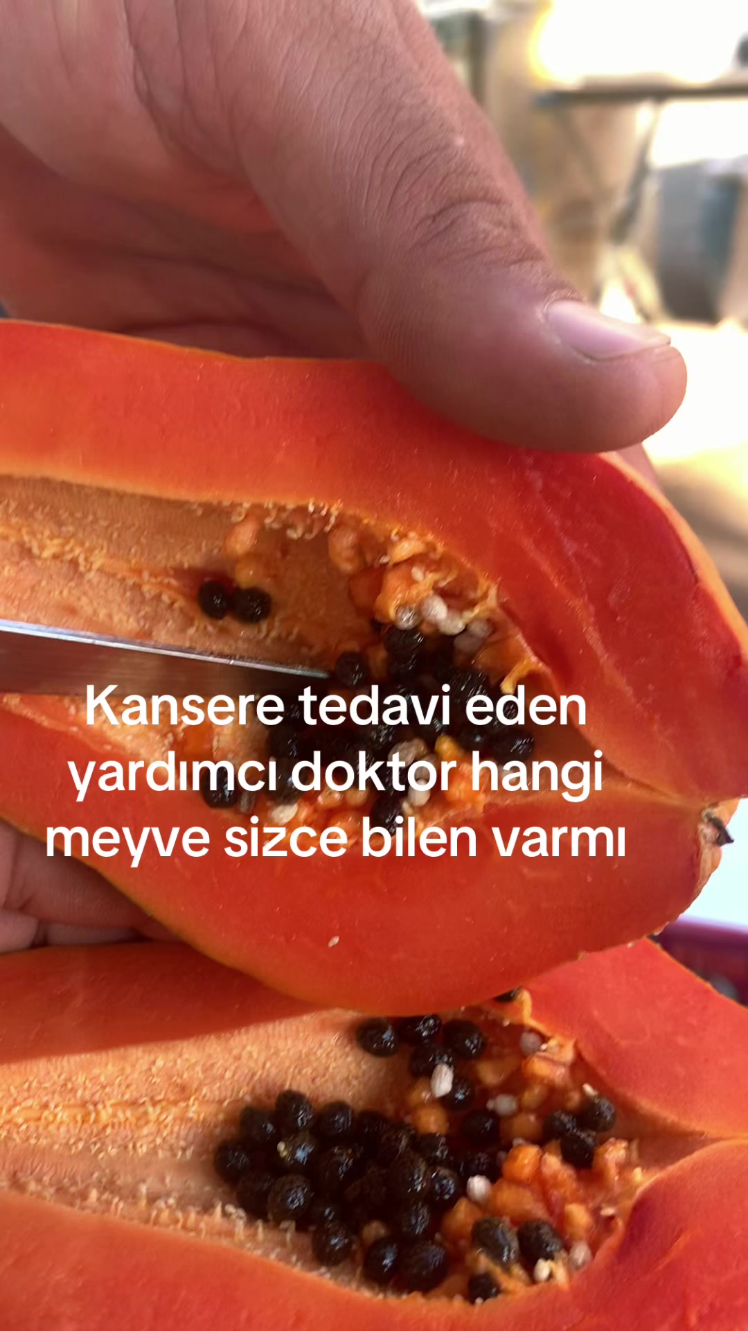 @Crayz tropikalantalya