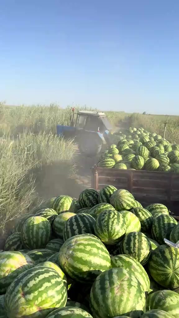 @🇦🇿əlyar011 🇬🇪