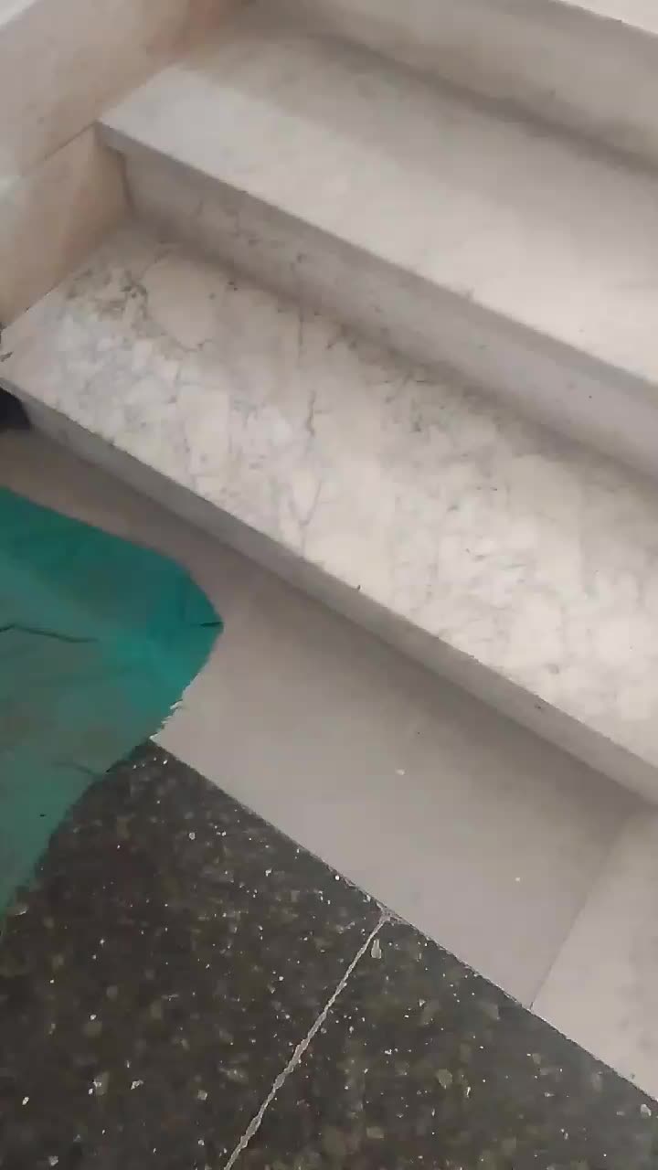 @ogiku osaro