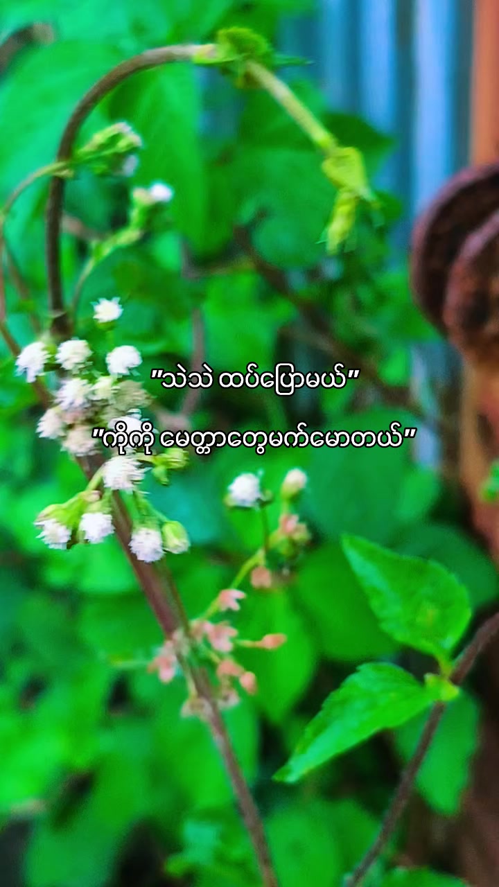 @๐ฅ๐ต๐๐๐ฆ๐ฅ๐ฟ๐๐ฆ๐ฅ(official)