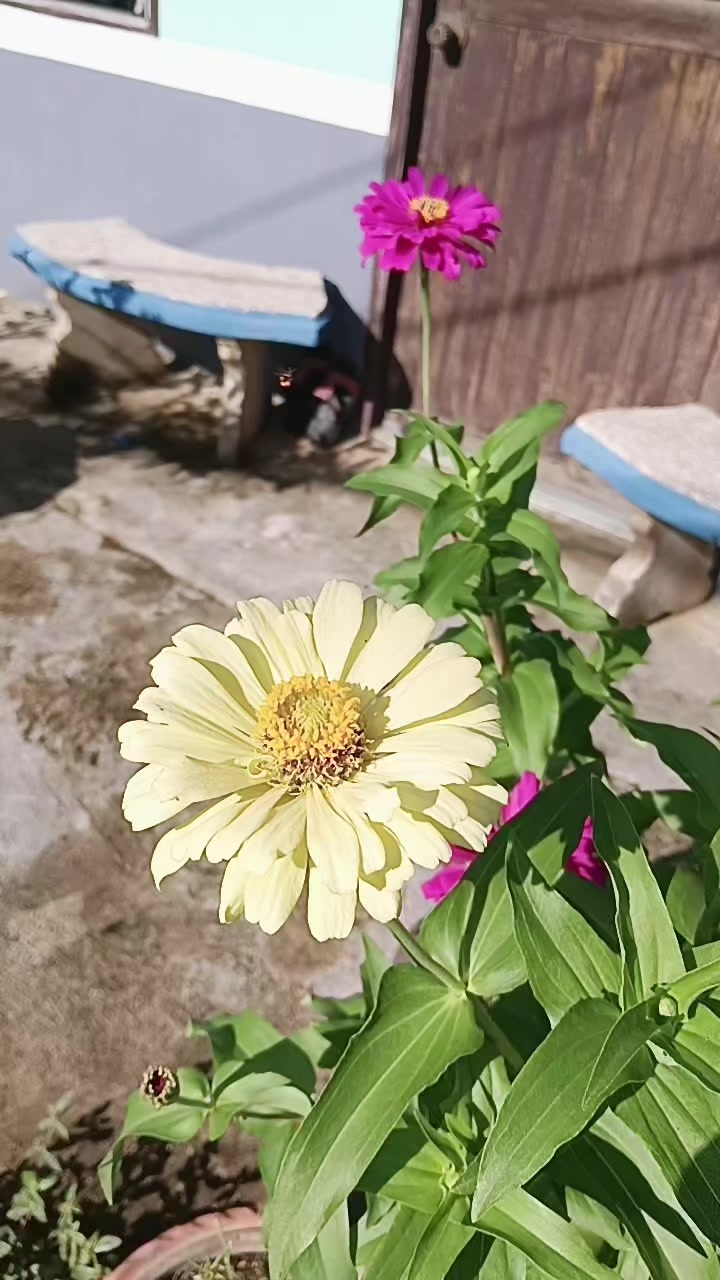 @วีต้า สุพัตรา💃💃