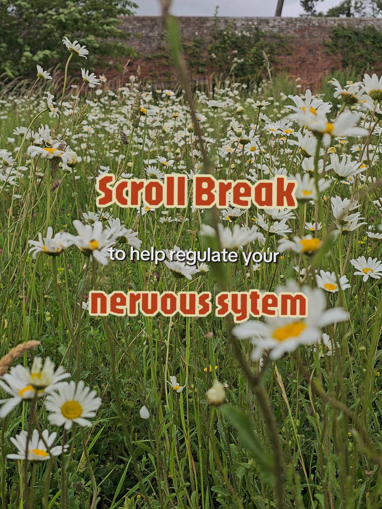 @Shruti