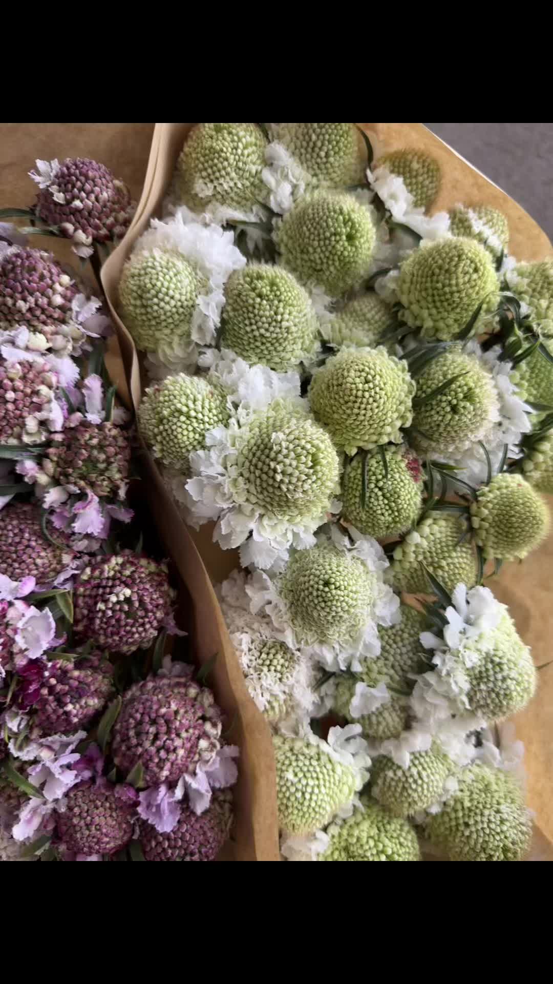 @Casconefiori