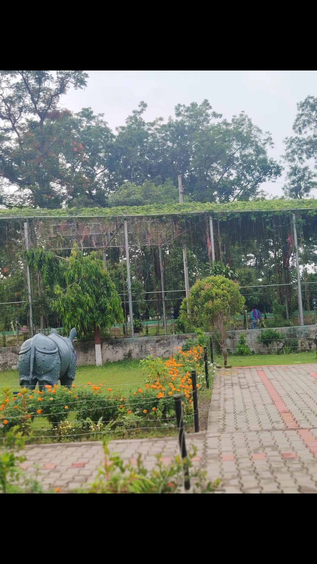 @Situ Kandel(ahimshaa)