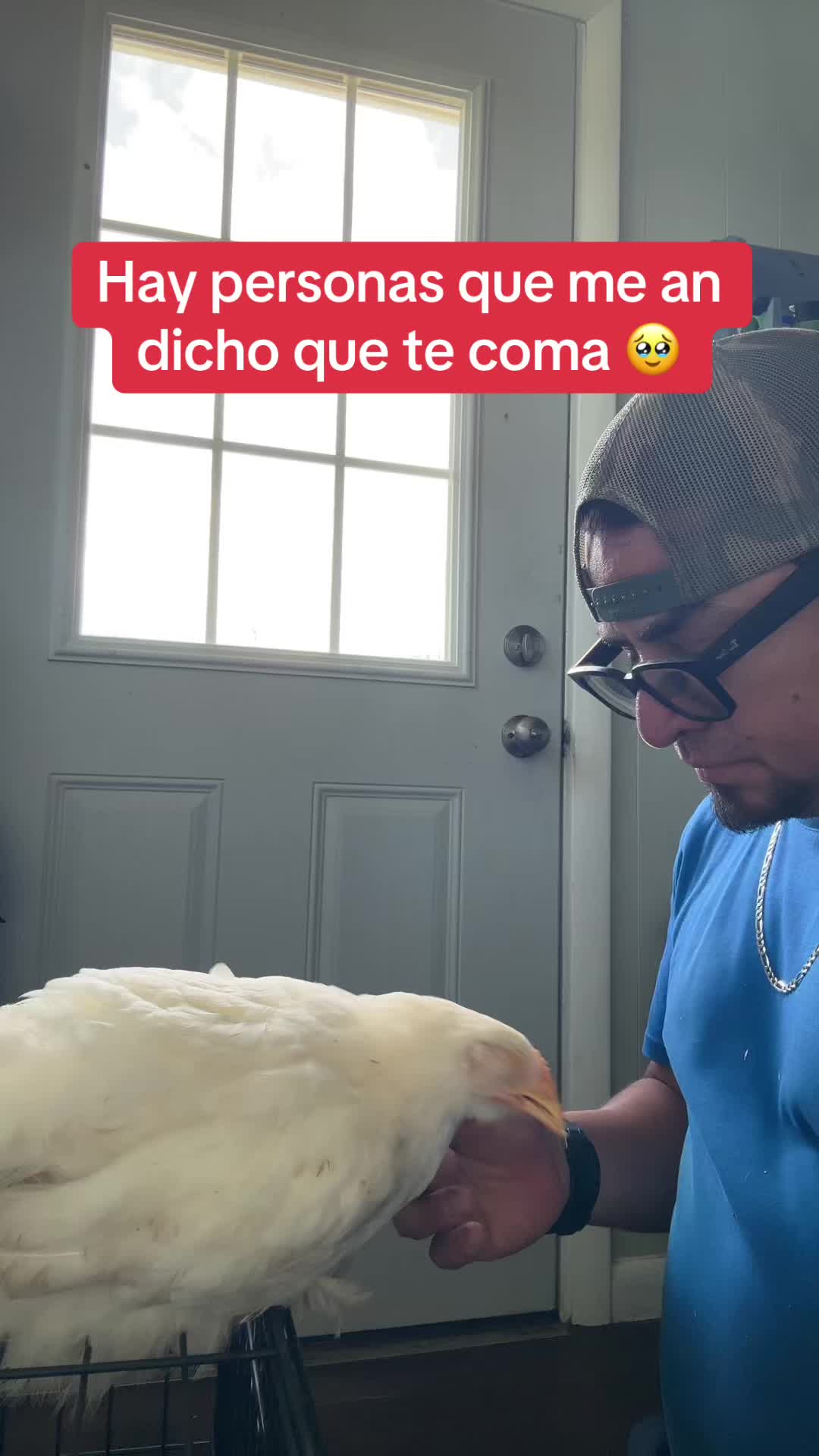 @WILSON DÍAZ