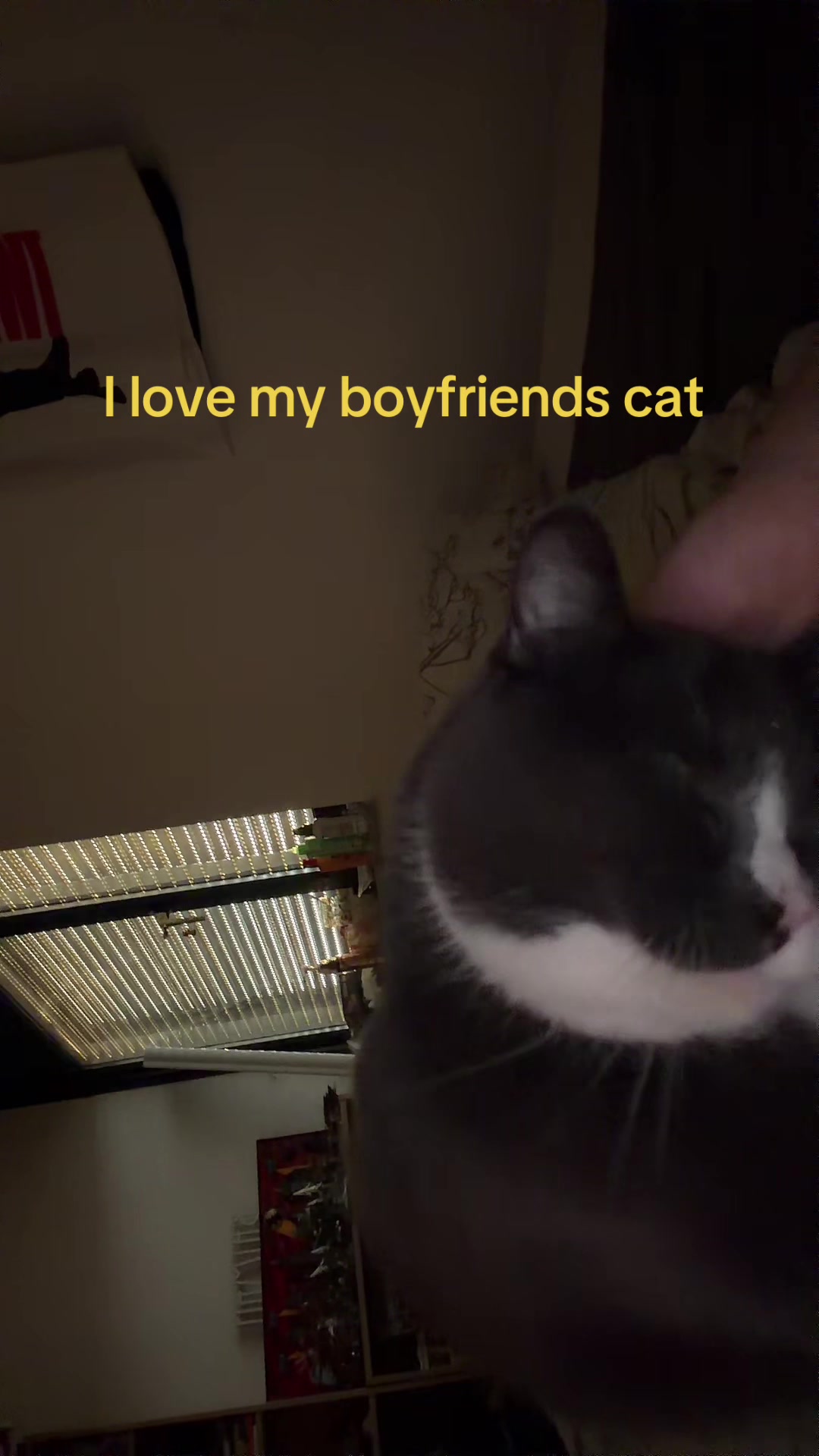 @💌