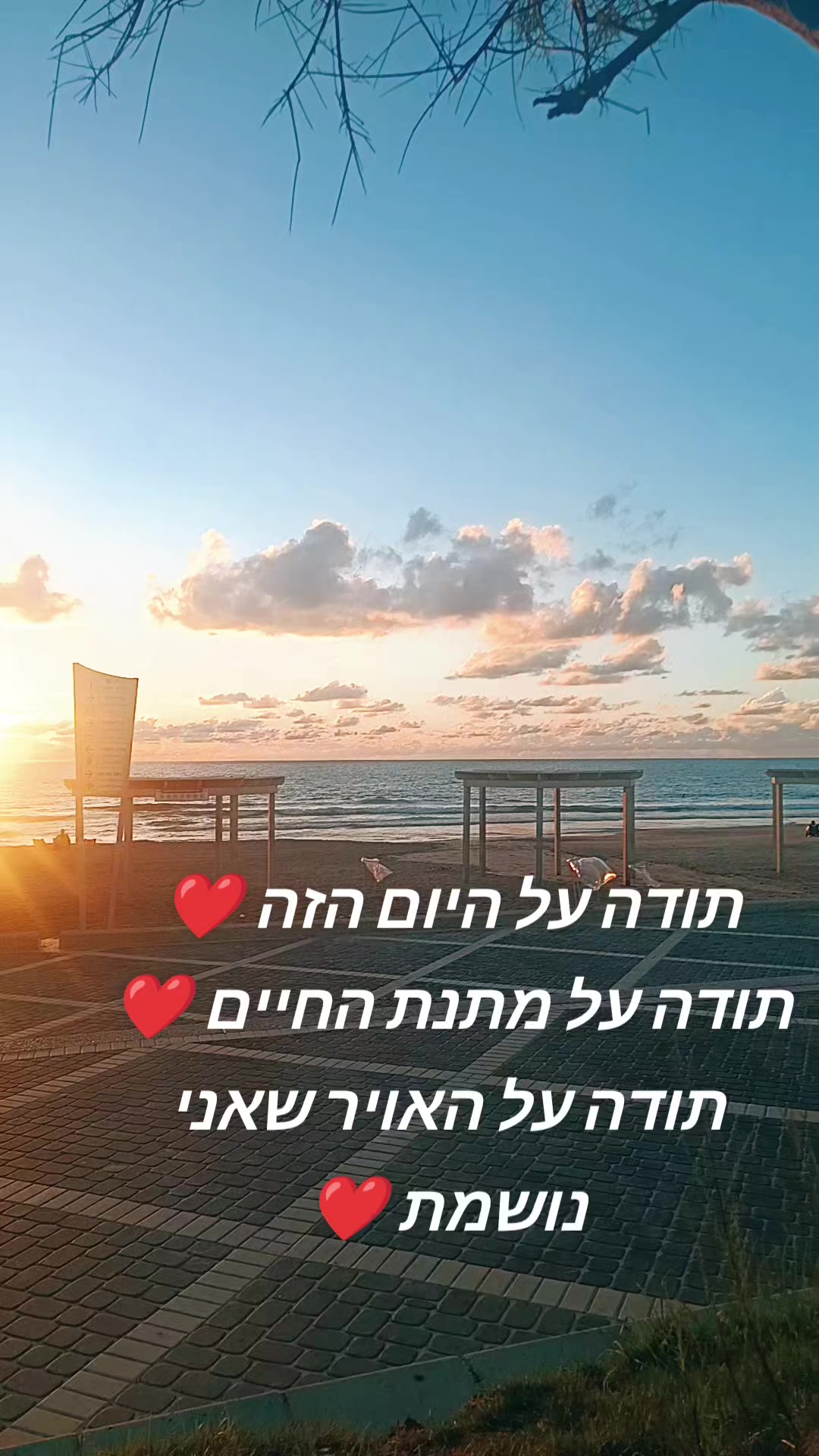 @ליאת גנני