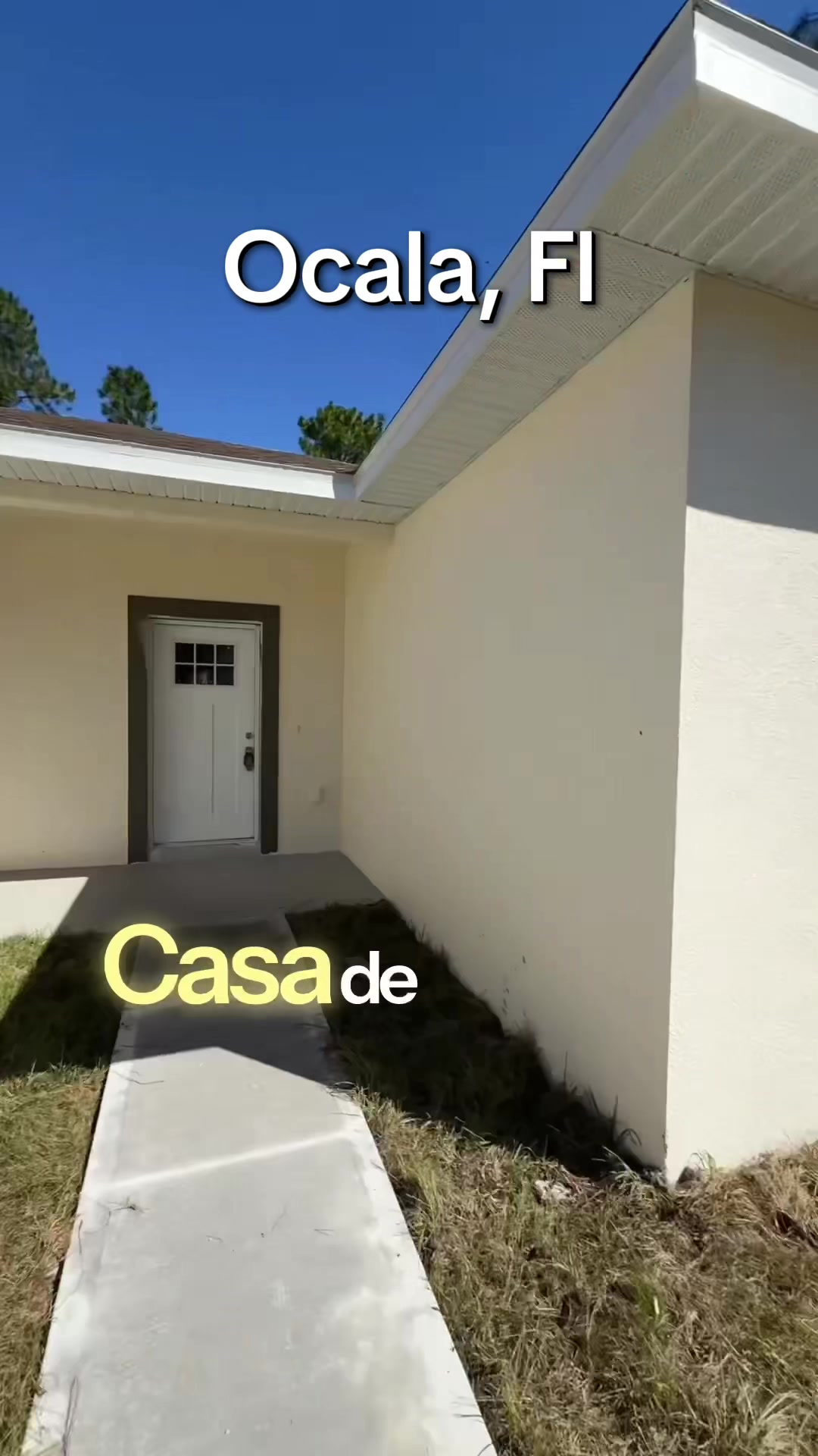 @yomarpadrorealtor