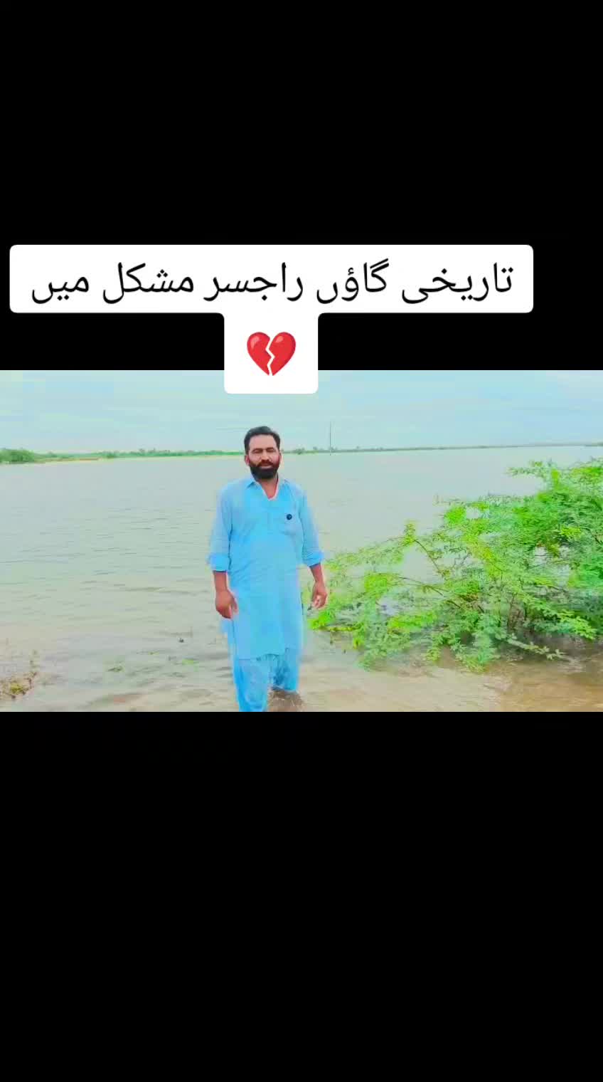 @سیدعامرشیرازی913