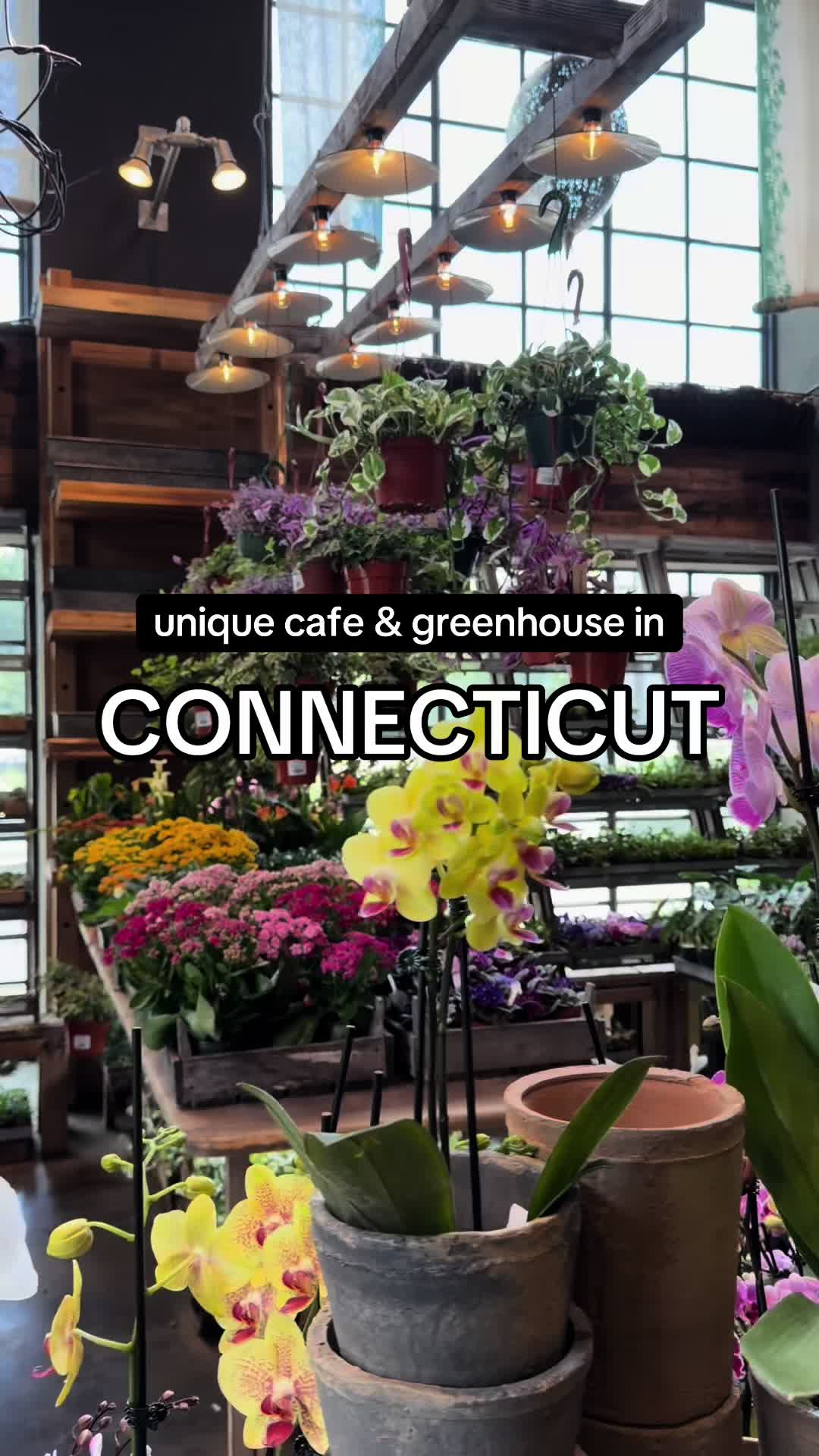 @tasteconnecticut