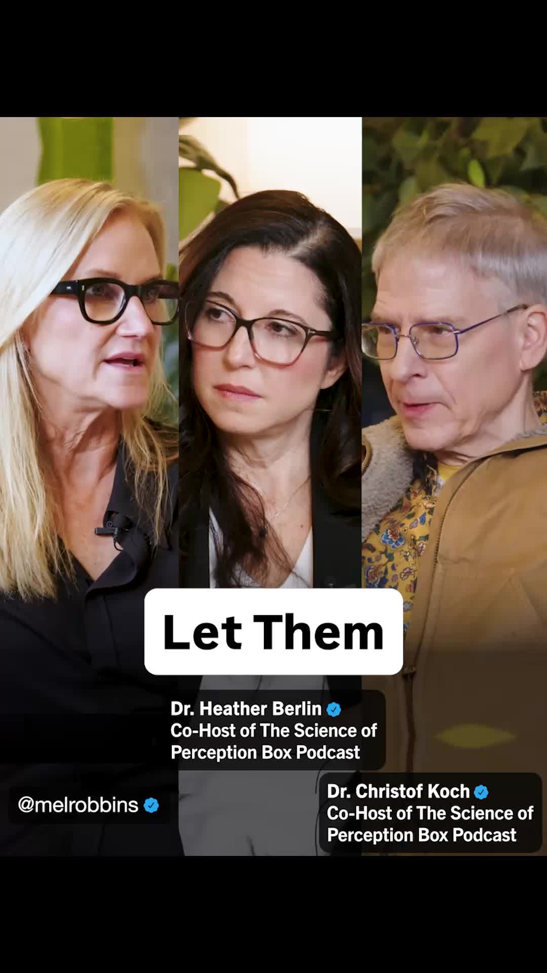 @Mel Robbins
