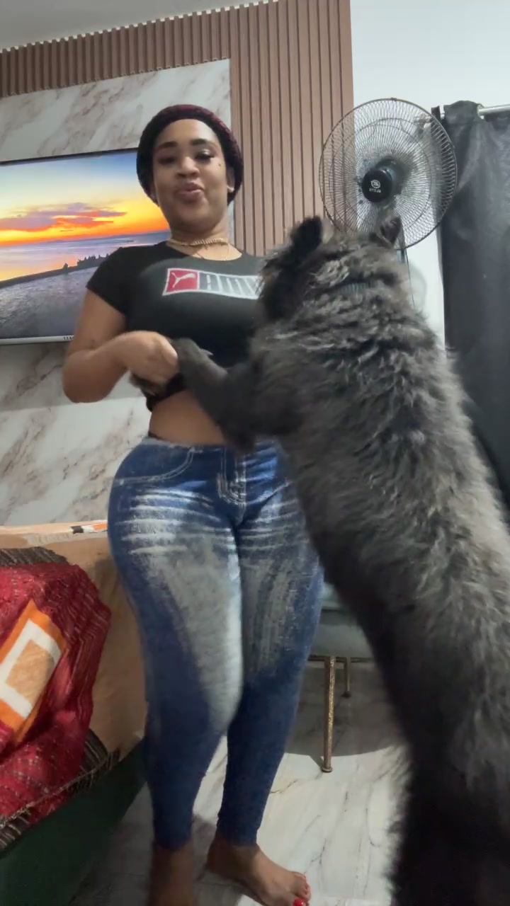 @FansLatin