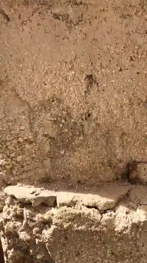 @جــــوآد ★נαωα∂ 🎲😜