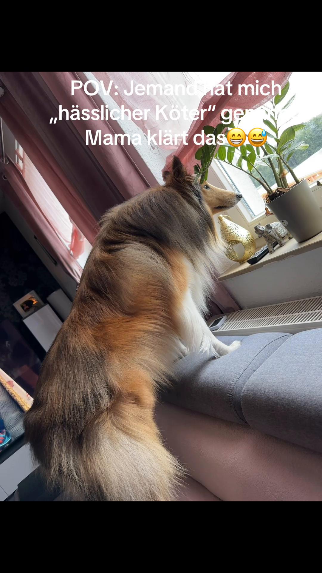 @Jasmin Werner