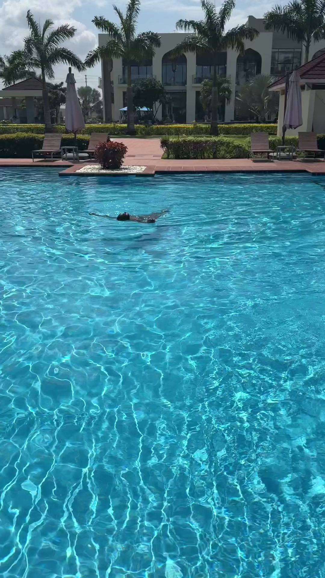 @🍍