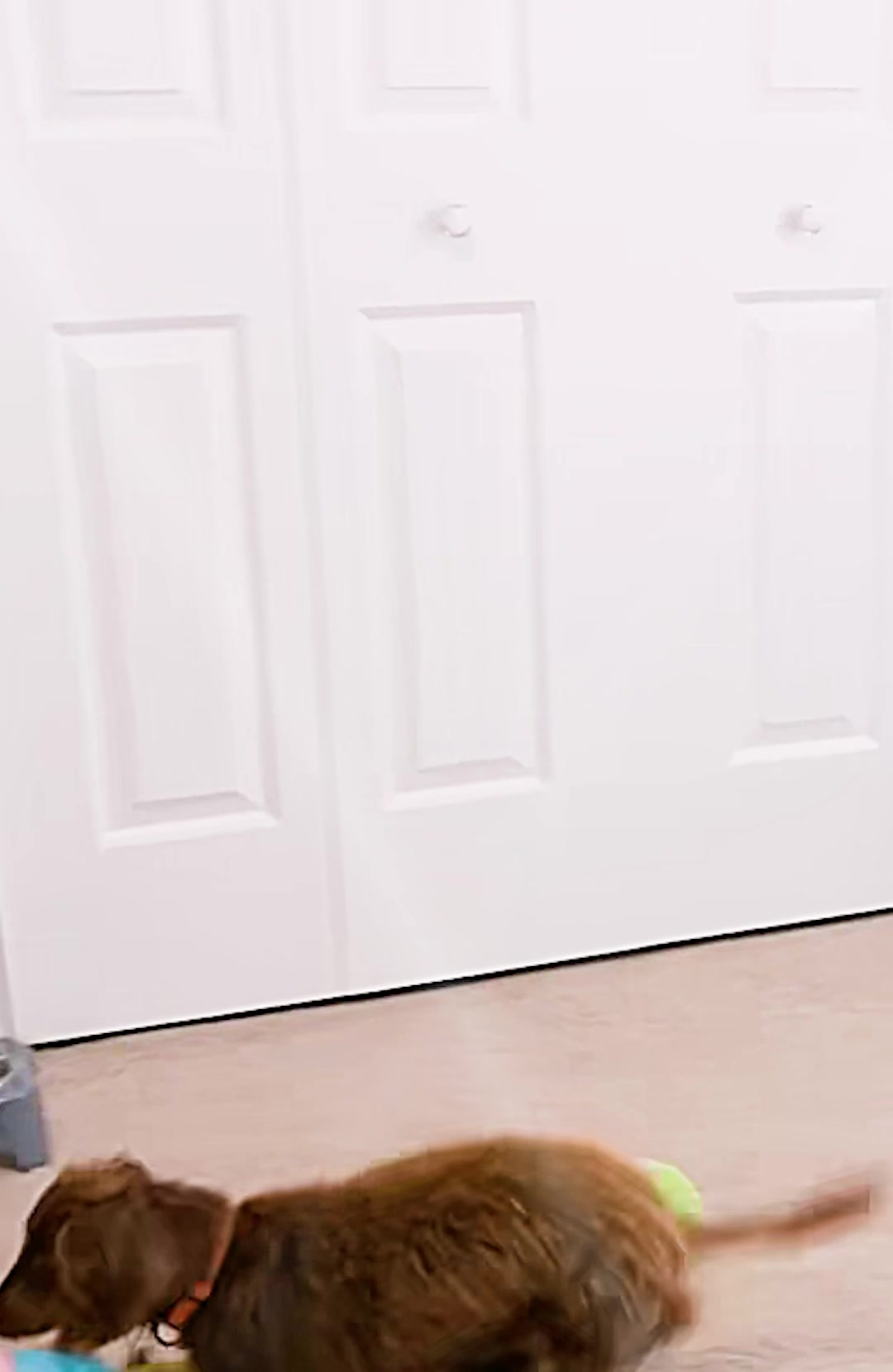 @dbxhsgsf