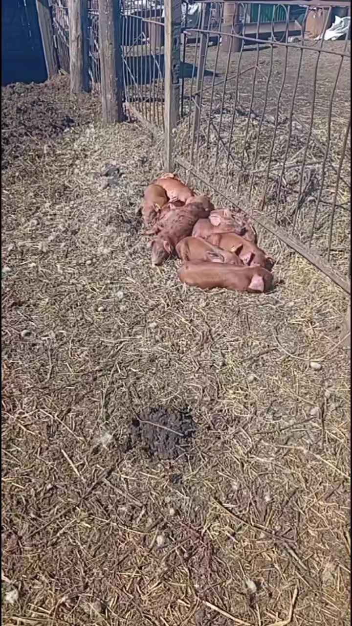 @Алексей Сасин709