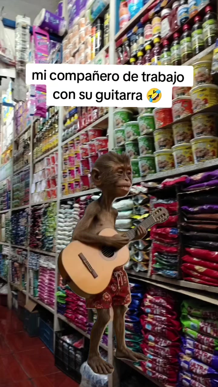 @Señor Tzii