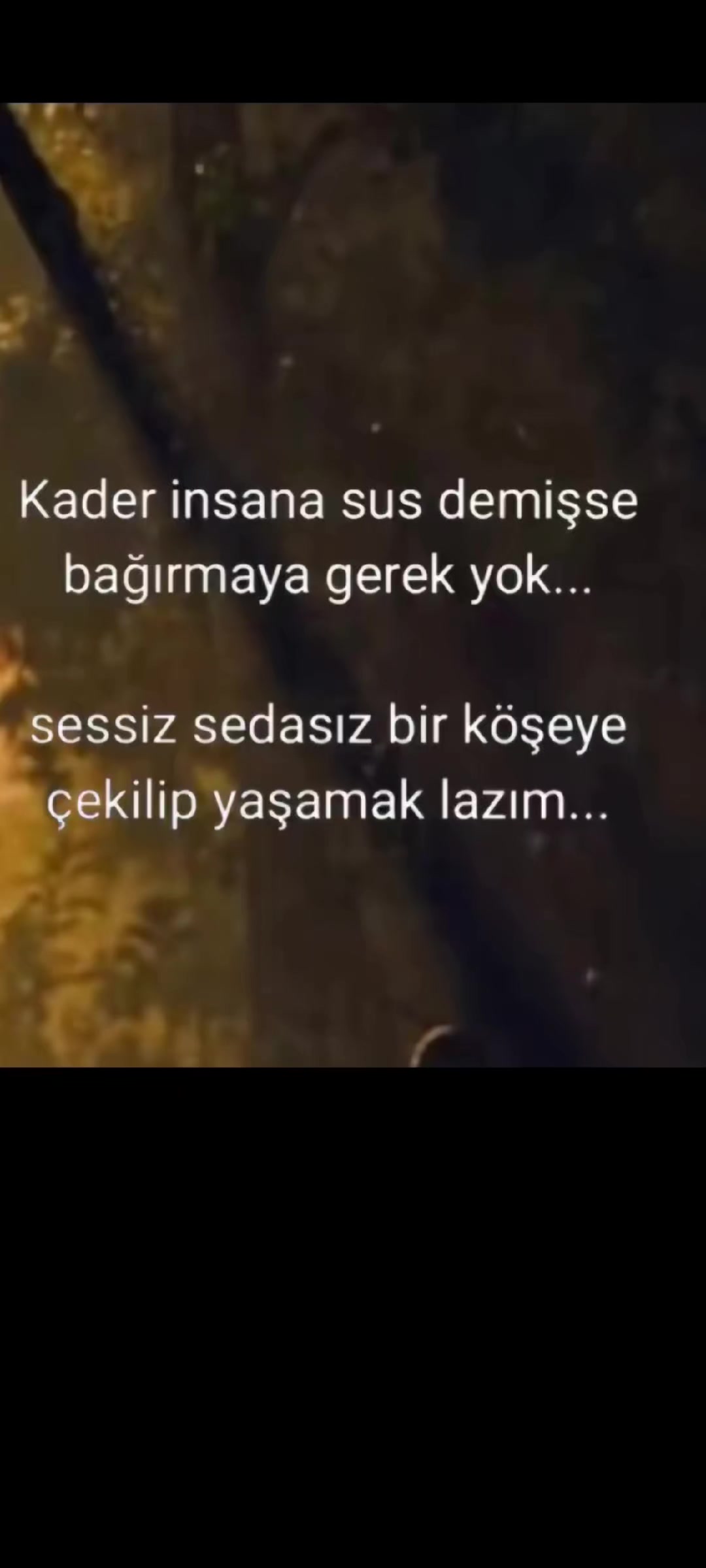 @🇹🇷Hasan Turan 🇹🇷