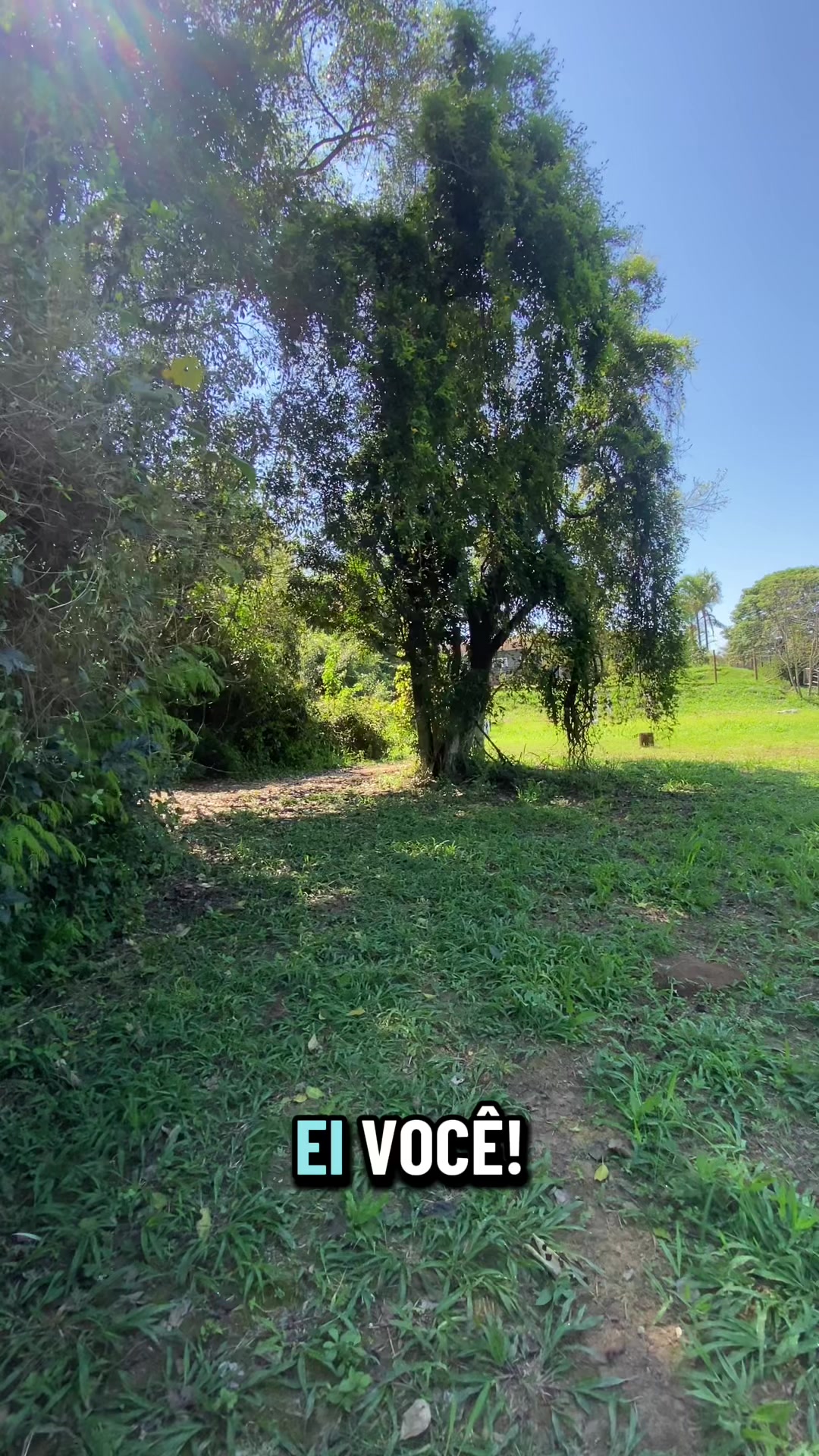 @ancelmo do manto
