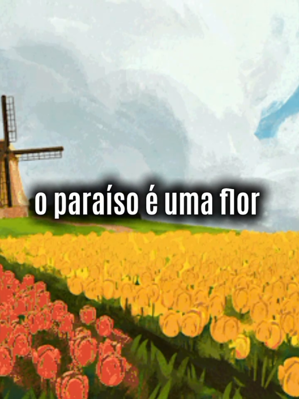 @musicaforyou2