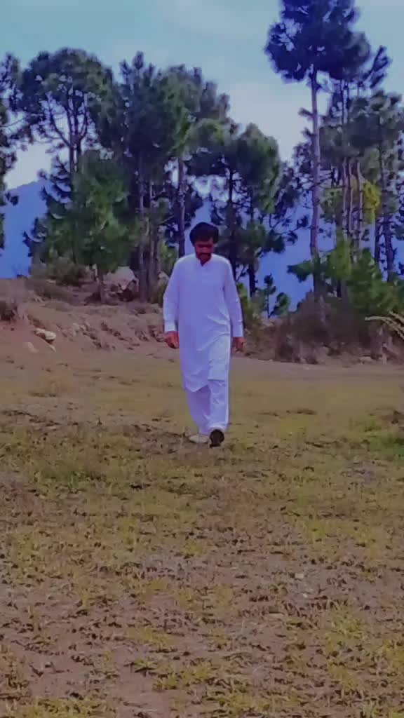 @user198250433373