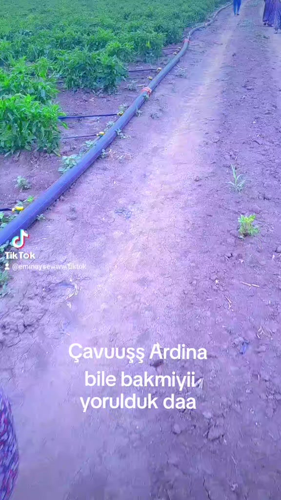 @❤️Emin ❤️ Ayşe Ilık ❤️