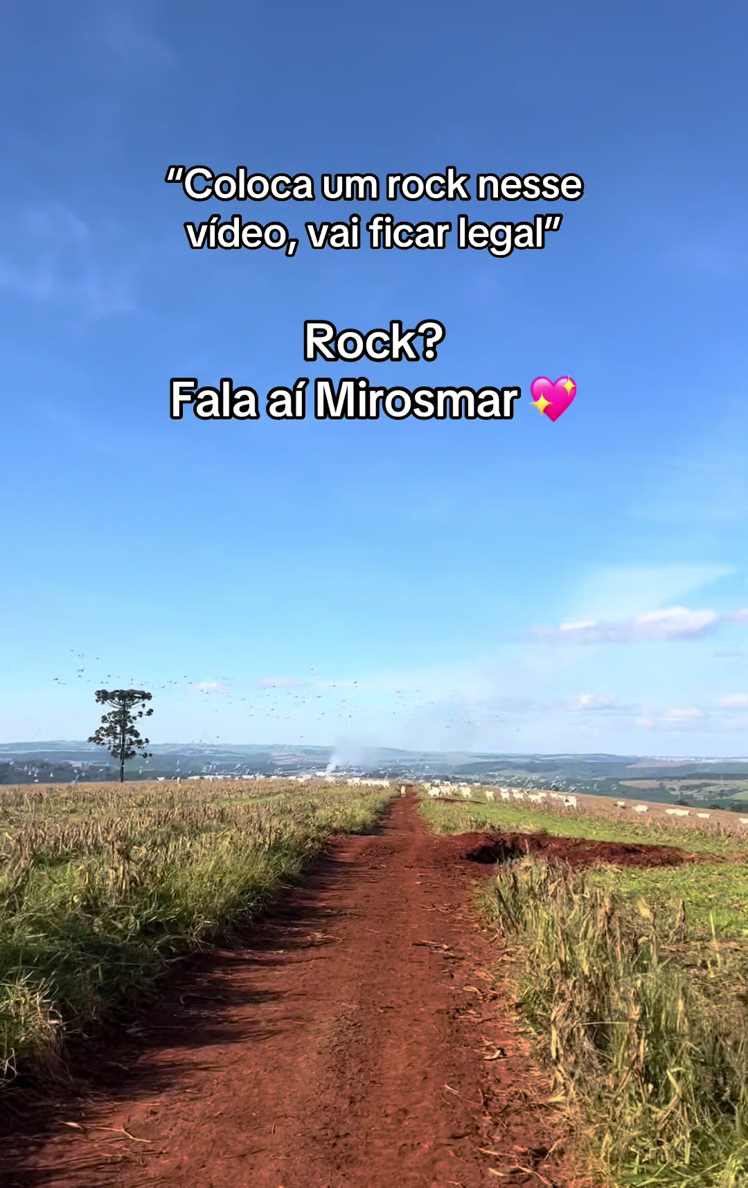 @Hâmora Resende 🫀✨