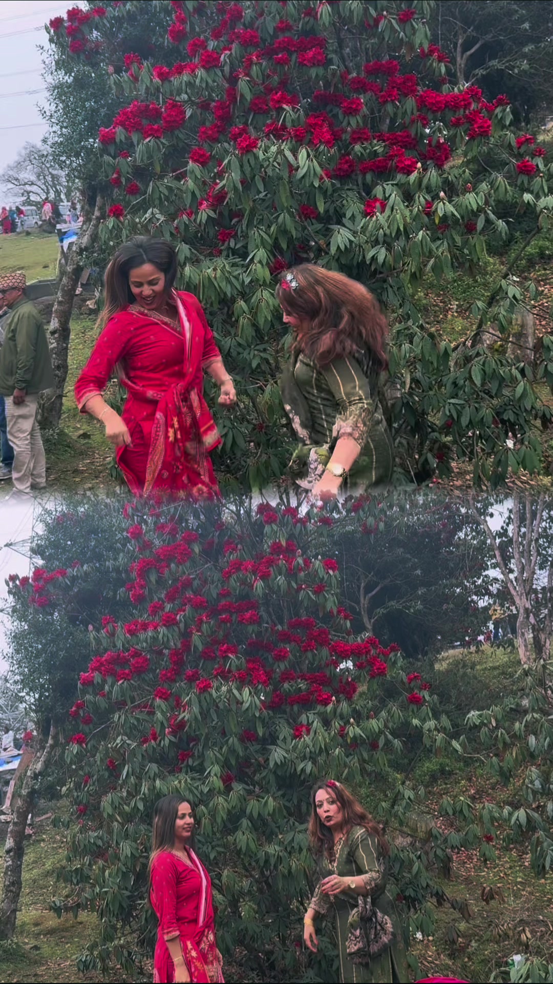 @Gita Dahal mainali
