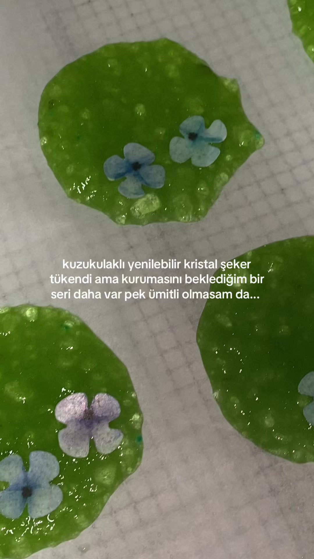 @zeydalit