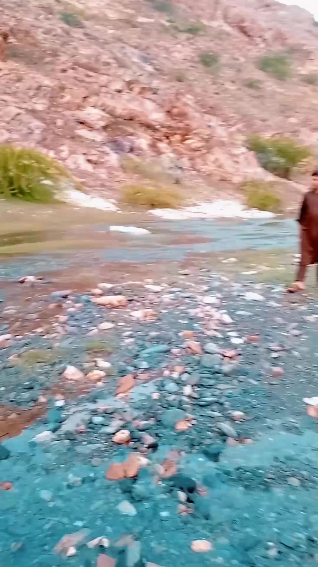 @imtking
