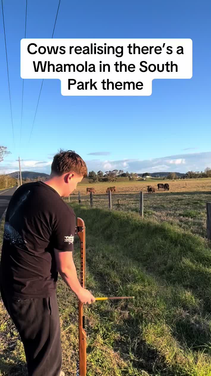 @reed_lynch