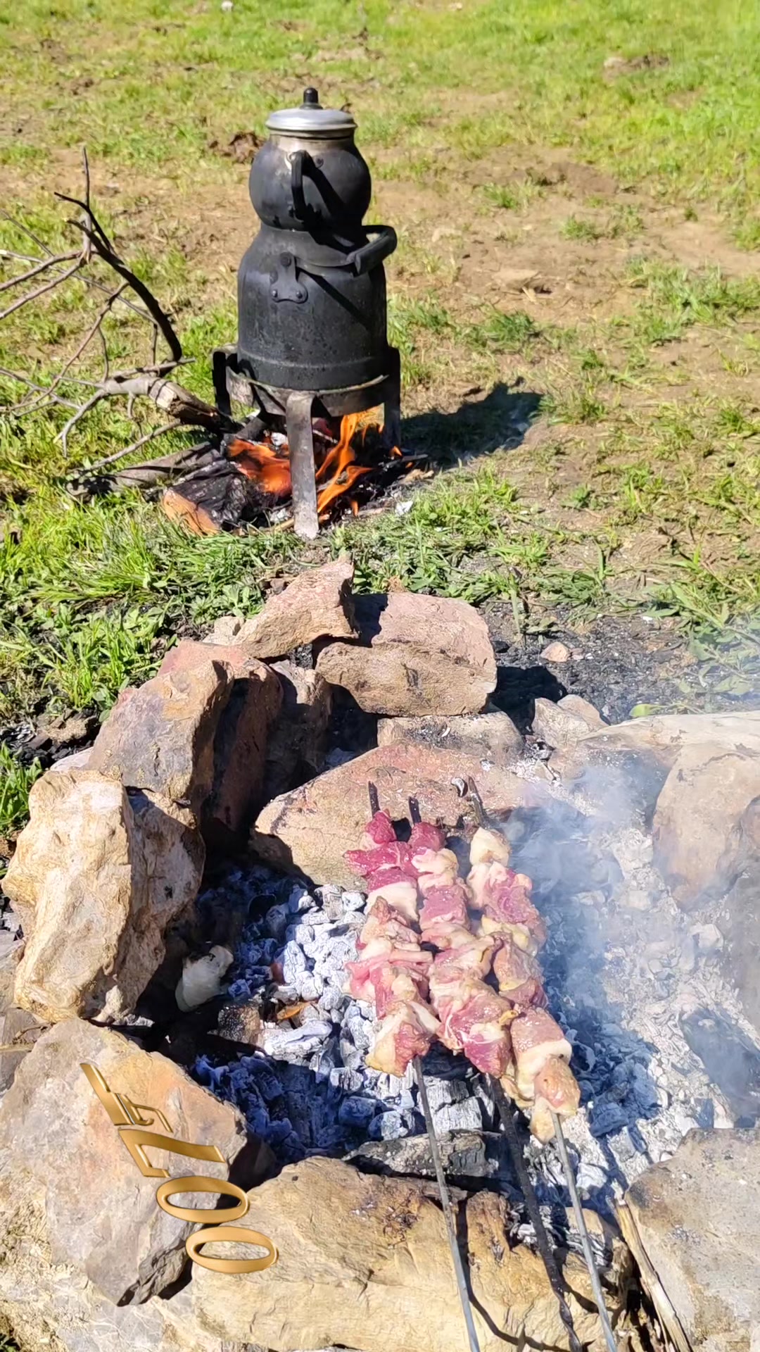 @M.SLN kod adı 007