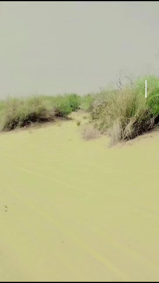 @BahawaLpur Nasir Kha
